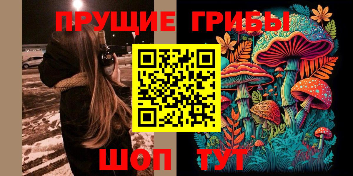 Галлюциногенные грибы прущие грибы  Вход с VPN  Красногорск 